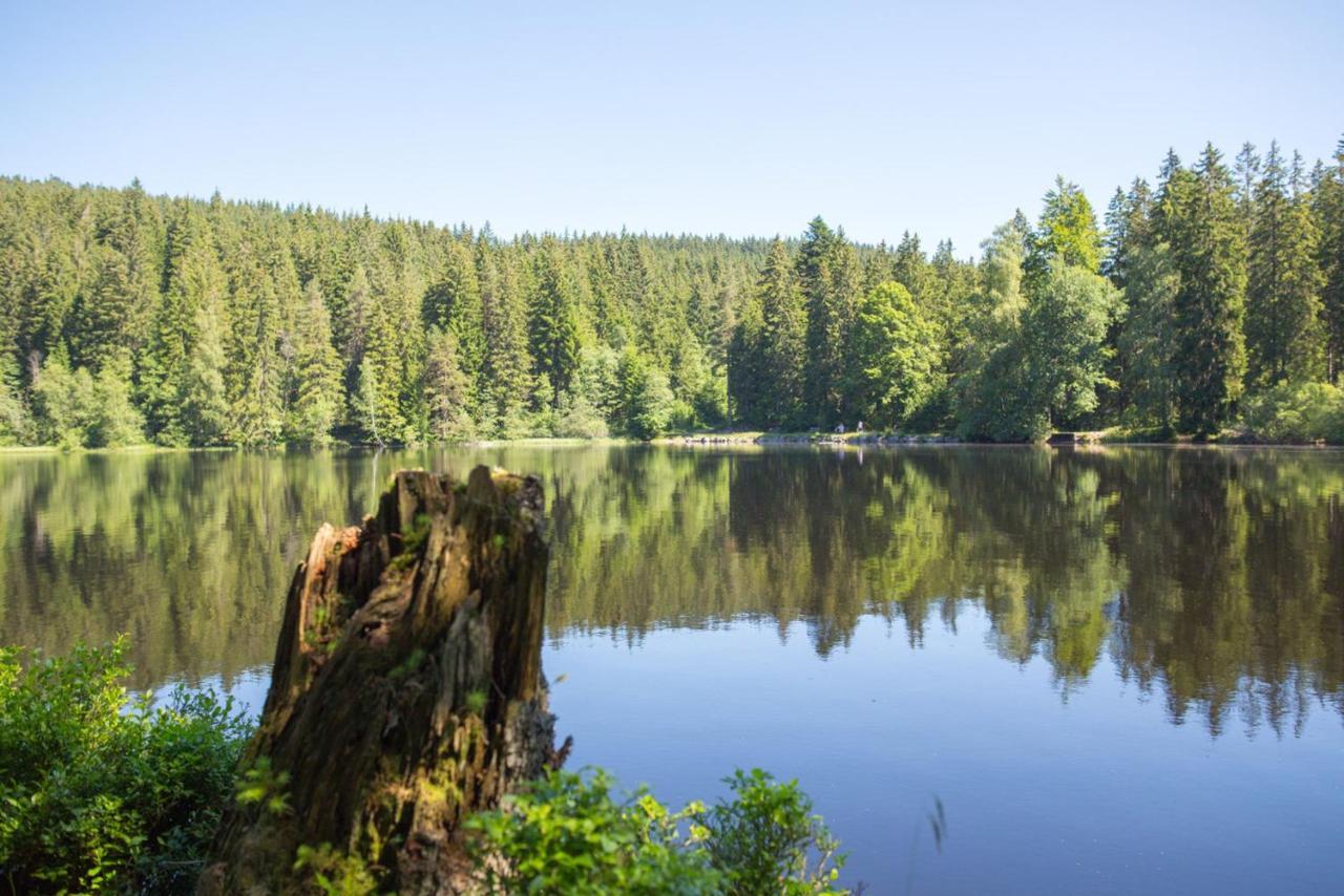 Ferienhaus Voelkle Hinterzarten Esterno foto