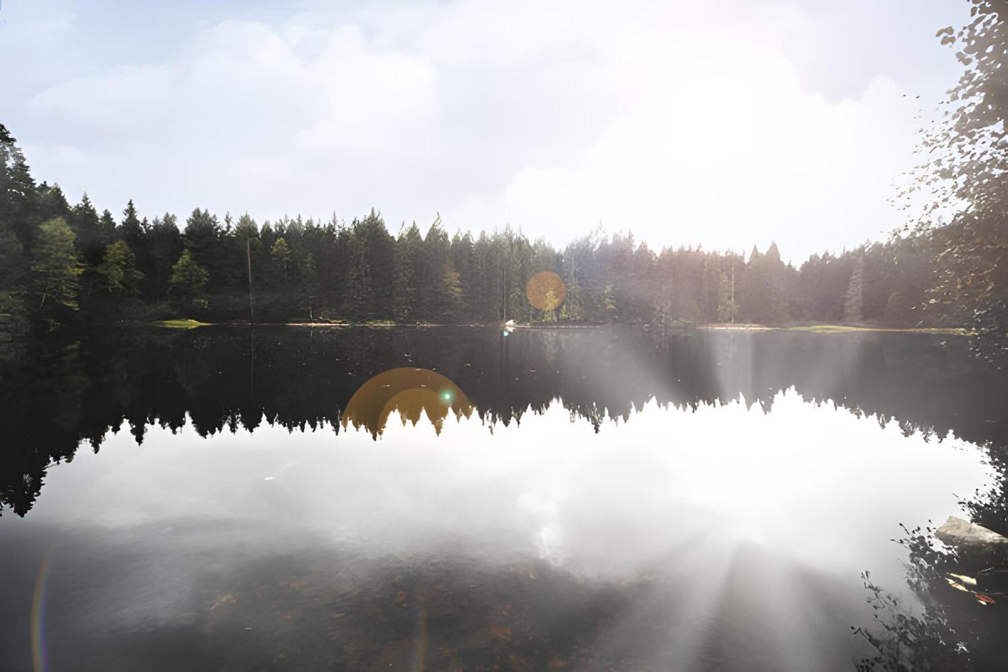 Ferienhaus Voelkle Hinterzarten Esterno foto
