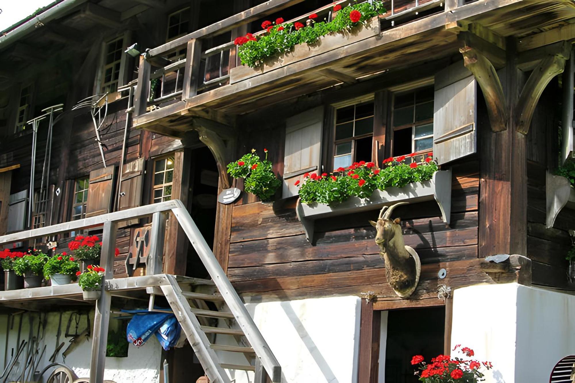 Ferienhaus Voelkle Hinterzarten Esterno foto