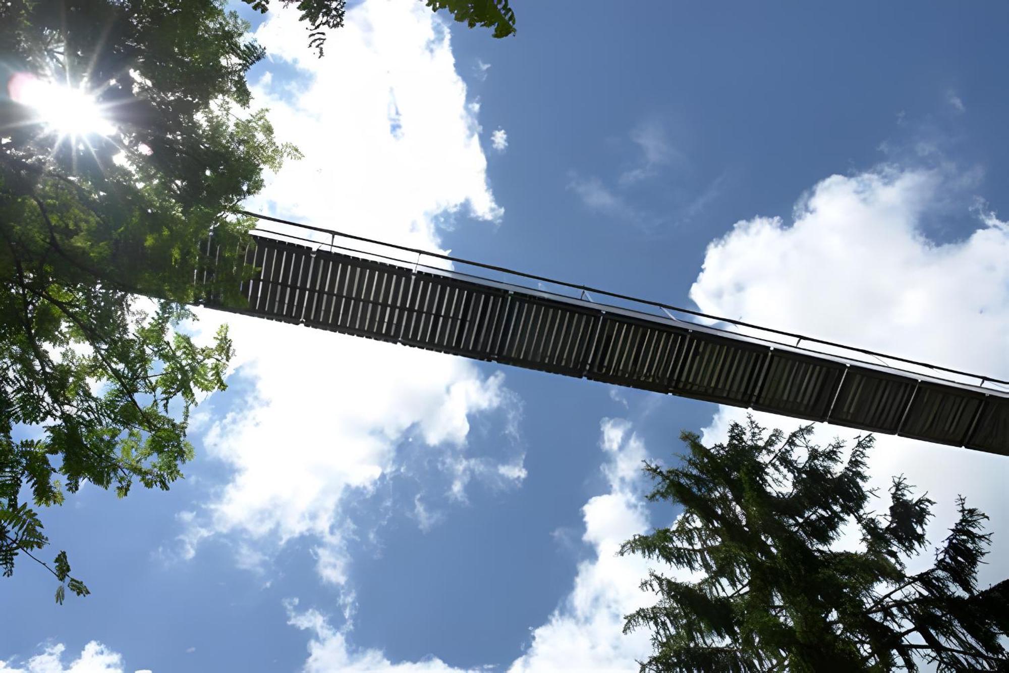 Ferienhaus Voelkle Hinterzarten Esterno foto